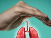 पिचके हुए फेफड़ों में नई जान भर देंगे 10 सुपरफूड्स, बढ़ती उम्र में भी धीमी नहीं होगी रफ्तार a