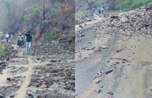 Uttarakhand: प्रकृति का प्रकोप, नदियों का बढ़ा जलस्तर,सड़कों पर गिरे भारी पेड़, यमुनोत्री में बारिश से हड़कंप