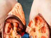 किडनी डैमेज की शुरुआत में दिखते हैं ये 8 लक्षण, नजरअंदाज करने से बढ़ सकती है समस्या a