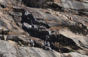 Uttarkashi: गंगोत्री नेशनल पार्क में पारा गिरने से जमे नदी-नाले, निगरानी के लिए वन विभाग ने लगाए ट्रैप कैमरे