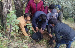 Chamoli: लापता महिला जंगल में मिली, भालू ने हमला कर किया बुरी तरह घायल, रात भर एक पेड़ के सहारे छिपी रही