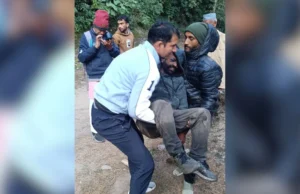 Dehradun News: छिबरोऊ के पास टमाटर से भरा पिकअप वाहन खाई में गिरा, एक की हुई मौत, दो लोग घायल