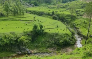 Uttarakhand News: इस जिले में बनेगी 75 मीटर लंबी और 18 मीटर चौड़ी नई झील, पर्यटन और रोजगार को मिलेगा नया आयाम