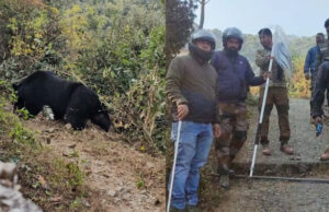 Rudraprayag: झाड़ियों के अंदर तार में फंसा भालू, ट्रेंकुलाइज कर करीब छह घंटे की मशक्कत के बाद निकाला जा सका