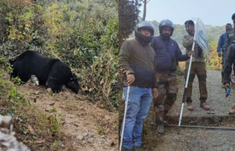 Rudraprayag: झाड़ियों के अंदर तार में फंसा भालू, ट्रेंकुलाइज कर करीब छह घंटे की मशक्कत के बाद निकाला जा सका