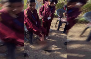 Chamoli News : झाड़ियों के बीच छिपे भालू ने अचानक स्कूल जा रहे छात्र पर किया हमला, दोस्त के साहस से बची जान