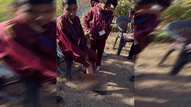 bear_5ca961ba5bbf750b1ad548ea72933bba