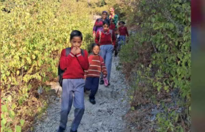 Bear Terror: रुद्रप्रयाग के लाटधार तोक में स्कूल जा रहे बच्चों को दिखा भालू, शोर मचाया…फिर जान बचाकर भागे