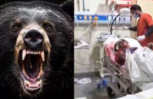 Chamoli News: गोशाला से गांव आते वक्त भालू ने व्यक्ति पर किया हमला, बुरी तरह हुआ घायल