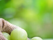 सुबह खाली पेट आंवला खाने की 7 जबरदस्त शक्तियाँ: शरीर को मिलने वाले वैज्ञानिक फायदे 7