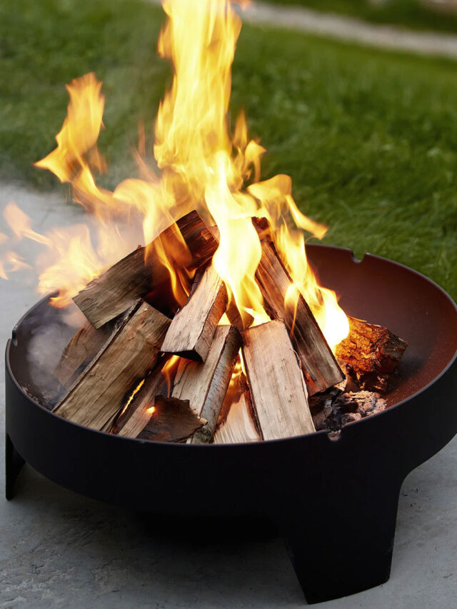 सावधान! ठंड में अलाव तापना पड़ सकता है भारी, सांस और त्वचा को होते हैं 7 गंभीर नुकसान