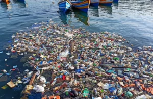 Haridwar: सिंगल यूज प्लास्टिक का बिजनेस करने वालों की अब खैर नहीं, देना पड़ेगा भारी जुर्माना