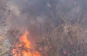 Chamoli: सेना कैंप में लगी अचानक आग, मची अफरा-तफरी, जवानों के साथ फायर सर्विस की टीम बुझाने में जुटी