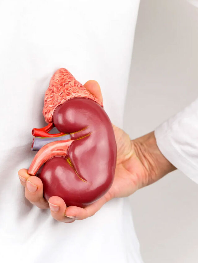 किडनी की गंदगी को जड़ से साफ करेंगे ये 8 नेचुरल ड्रिंक्स, पथरी और इंफेक्शन से मिलेगा बचाव