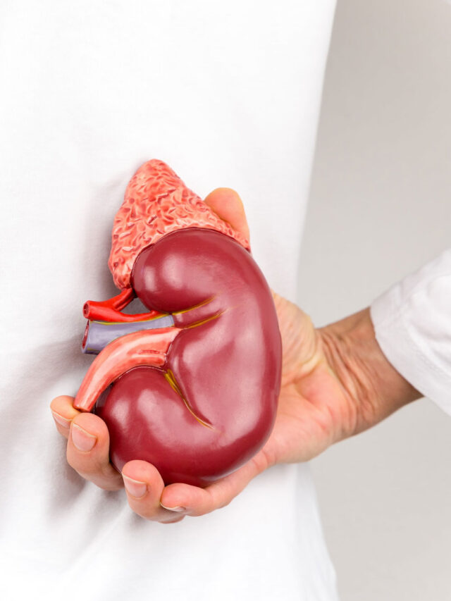 इन 7 संकेतों को नजरअंदाज न करें किडनी पर बढ़ रहा है खतरा