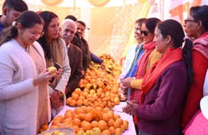 Uttarakhand: माल्टा महोत्सव में किसान नहीं… विभाग की आय हुई चार गुना, 10 रुपये प्रति किलो खरीदकर 40 में बेचा