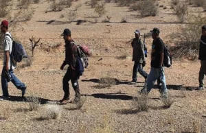 Uttarakhand: नौकरी का झांसा देकर डंकी मार्ग से दो युवकों को पहुंचाया म्यांमार, अवैध रूप से रखा बंधक बनाकर