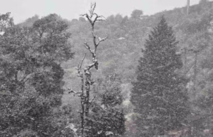 Snowfall In Uttarakhand: ऊंची चोटियों पर भारी बर्फबारी, मैदानी इलाकों में हो रही है हल्की बारिश