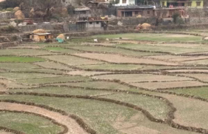 Uttarakhand: बारिश-बर्फबारी की बेरुखी, पर्यटन बेपटरी; जिन टूरिस्ट स्पॉट पर रहती थी भीड़, वहां पसरा है सन्नाटा