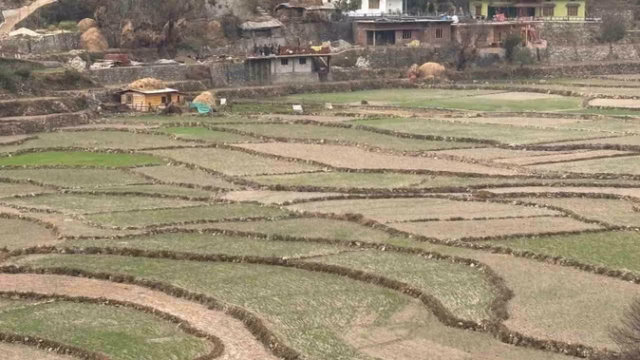 uttarakhand-crops-affected_26baae80fcc98a0f7856cb0f3be9daa6