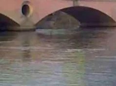 Uttarakhand: रुड़की की गंगनहर में दिखे 13 गोवंश के शव, हिंदू संगठनों में आक्रोश; कहा- ‘जानबूझकर घटना को दिया अंजाम’