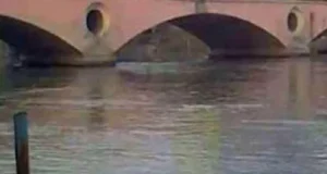 Uttarakhand: रुड़की की गंगनहर में दिखे 13 गोवंश के शव, हिंदू संगठनों में आक्रोश; कहा- ‘जानबूझकर घटना को दिया अंजाम’