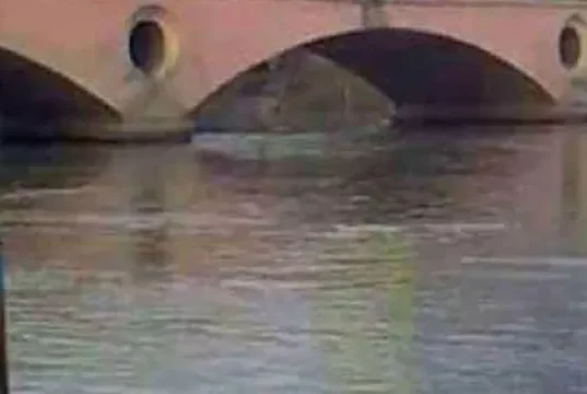 Uttarakhand: रुड़की की गंगनहर में दिखे 13 गोवंश के शव, हिंदू संगठनों में आक्रोश; कहा- ‘जानबूझकर घटना को दिया अंजाम’