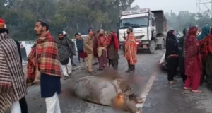 Uttarakhand: देहरादून में तेज रफ्तार डंपरों का कहर, वन गुर्जर के पांच पशु कुचले, कई घायल