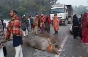 Uttarakhand: देहरादून में तेज रफ्तार डंपरों का कहर, वन गुर्जर के पांच पशु कुचले, कई घायल