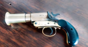 Dehradun: मेहंदी समारोह में युवक की लाइसेंसी पिस्टल से अचानक चली गोली, महिला घायल, लापरवाही जान पर बन आई