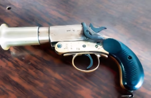 Dehradun: मेहंदी समारोह में युवक की लाइसेंसी पिस्टल से अचानक चली गोली, महिला घायल, लापरवाही जान पर बन आई