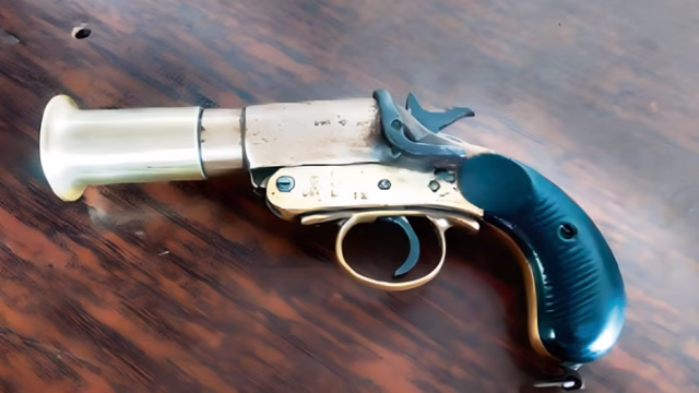 gun_fe5d29380d1cf728159c6508ba3d8575