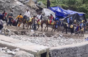 Uttarakhand: केदारनाथ यात्रा से पहले घोड़ा-खच्चरों का पंजीकरण शुरू, बीमा शुल्क ज्यादा होने से संचालकों में रोष