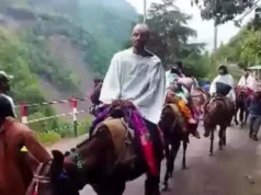 Chardham Yatra: यमुनोत्री पैदल मार्ग पर घोड़े-खच्चरों के संचालन के लिए बनेगी एसओपी, पशु क्रूरता को लेकर सख्ती