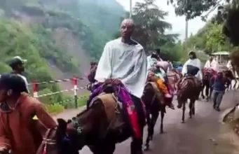 Chardham Yatra: यमुनोत्री पैदल मार्ग पर घोड़े-खच्चरों के संचालन के लिए बनेगी एसओपी, पशु क्रूरता को लेकर सख्ती