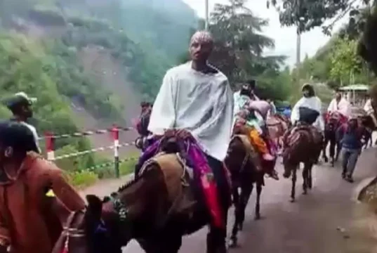 Chardham Yatra: यमुनोत्री पैदल मार्ग पर घोड़े-खच्चरों के संचालन के लिए बनेगी एसओपी, पशु क्रूरता को लेकर सख्ती