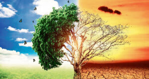 Uttarakhand: जलवायु परिवर्तन से मध्य हिमालय की जैव विविधता पर मंडरा रहा खतरा, बारिश का बदला स्वरूप