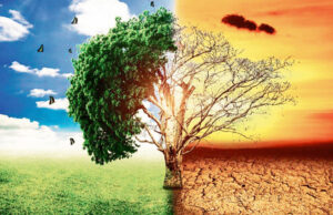 Uttarakhand: जलवायु परिवर्तन से मध्य हिमालय की जैव विविधता पर मंडरा रहा खतरा, बारिश का बदला स्वरूप