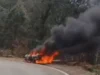 Nainital: कैंची धाम के पास सैलानियों की कार में लगी आग, वाहन जलकर खाक