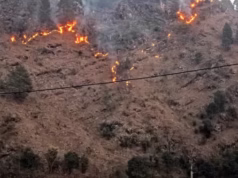 Uttarakhand: वनाग्नि की बढ़ रही चुनौती, 27 दिन में 73 घटनाएं, कुमाऊं में जंगल जले, विभाग की वेबसाइट पर शून्य