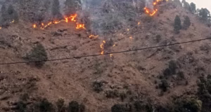 Uttarakhand: वनाग्नि की बढ़ रही चुनौती, 27 दिन में 73 घटनाएं, कुमाऊं में जंगल जले, विभाग की वेबसाइट पर शून्य