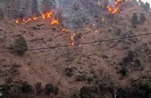 Uttarakhand: वनाग्नि की बढ़ रही चुनौती, 27 दिन में 73 घटनाएं, कुमाऊं में जंगल जले, विभाग की वेबसाइट पर शून्य