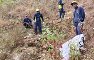 Uttarakhand: पिथौरागढ़ हाईवे पर हादसा, गुरना के पास खाई में गिरा वाहन, 1 की मौत