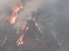 Uttarakhand: थराली के जंगलों में भीषण आग, 20 हेक्टेयर से अधिक क्षेत्र जलकर खाक, गौशालाओं को खतरा