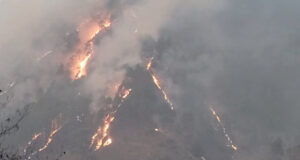 Uttarakhand: थराली के जंगलों में भीषण आग, 20 हेक्टेयर से अधिक क्षेत्र जलकर खाक, गौशालाओं को खतरा