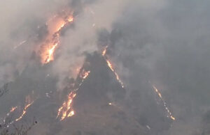 Uttarakhand: थराली के जंगलों में भीषण आग, 20 हेक्टेयर से अधिक क्षेत्र जलकर खाक, गौशालाओं को खतरा