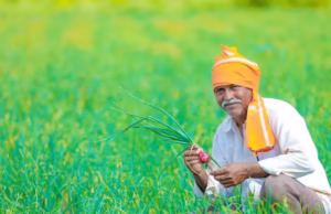 Uttarakhand News: कृषि बजट, किसानों की आय बढ़ेगी, मोटे अनाज और सगंध खेती को बढ़ावा