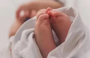 अल्मोड़ा: धौलादेवी ब्लाक के बाराकुना में मिला नवजात का शव, सनसनी