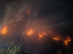 Chamoli : अस्त्र-शस्त्र रखने के भंडार और सीआईएसएफ ऑफिस तक पहुंची जंगल की आग, अब संरक्षित वन क्षेत्र की ओर फैली