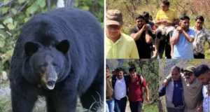 टिहरी में खूंखार भालू का हमला, ग्राम प्रधान और फारेस्टर समेत तीन लोगों को किया घायल